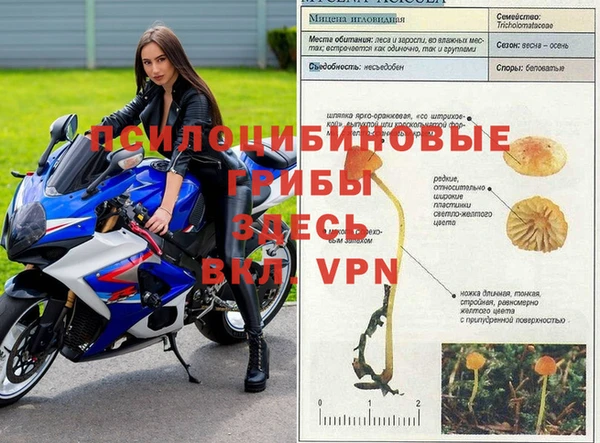 стафф Киренск